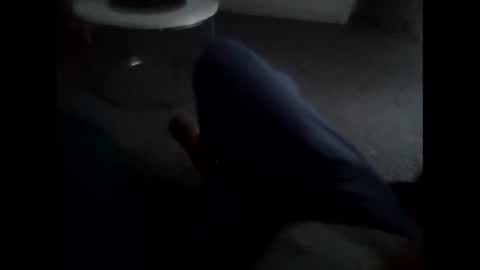 davidf75 online show from November 2025 08:07:01 AM