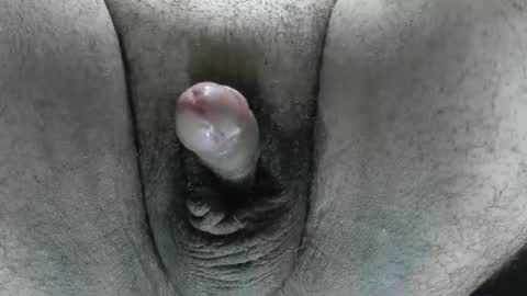 DavidGoid FunOnly online show from June 2026 12:55:01 PM