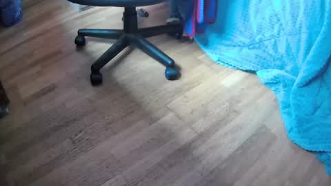 Hugo online show from February 2025 11:51:01 AM