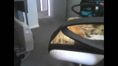 Snapshot of dazzle68 chatting on March 2026 10:48:01 PM Dazzle68 online show from March 2026 10:48:01 PM
