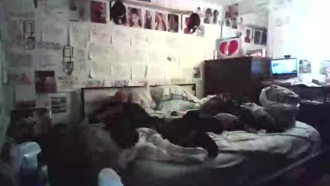 dbeamon92 online show from February 2026 12:25:02 AM