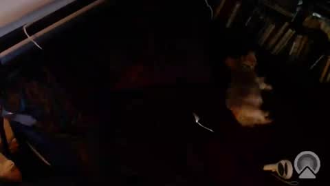 Snapshot of dcteamfucker chatting on July 2026 01:20:02 AM DCTeamFucker online show from July 2026 01:20:02 AM
