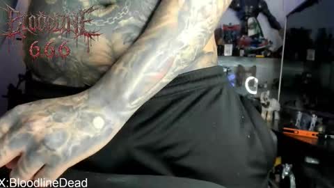    online show from March 2026 06:51:01 PM