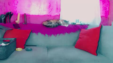 deboragill online show from March 2026 10:05:02 PM