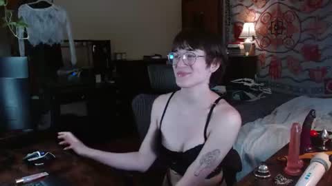 decemberholiday online show from July 2026 06:57:02 PM