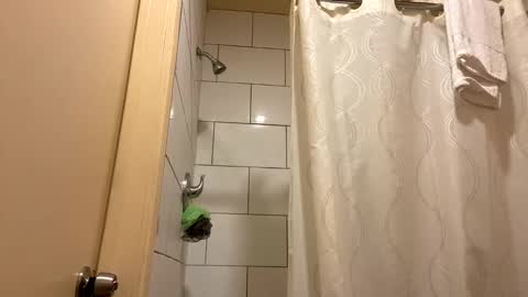 Camila Palacios online show from January 2025 04:02:01 AM