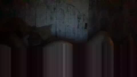 Snapshot of deepdiveme chatting on April 2026 04:08:02 AM deepdiveme online show from April 2026 04:08:02 AM