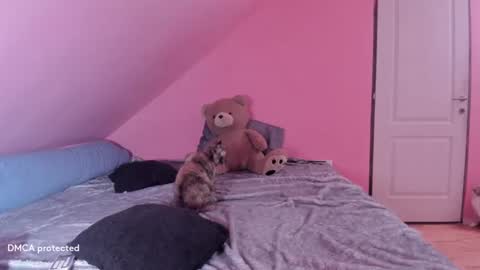 Deessert online show from February 2025 02:53:01 AM