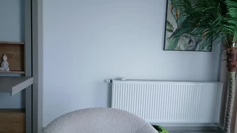 Di online show from March 2026 01:36:01 PM