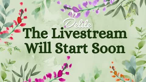 Snapshot of delitevip chatting on June 2026 08:42:02 AM DeLite Next stream on Wednesday or Thurdsay online show from June 2026 08:42:02 AM