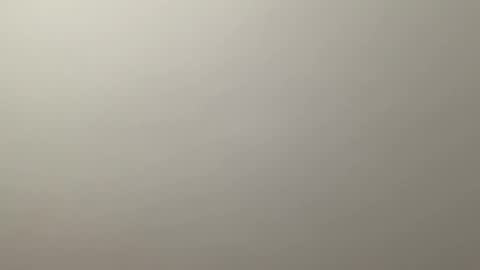 Snapshot of deliverysmile chatting on December 2024 12:34:02 AM Delivery online show from December 2024 12:34:02 AM