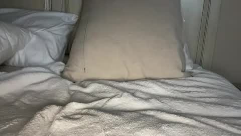 Snapshot of demetriartmodel chatting on April 2026 07:41:01 AM Demetri online show from April 2026 07:41:01 AM