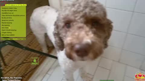 Snapshot of demurelixir chatting on April 2026 05:30:02 PM Yana online show from April 2026 05:30:02 PM