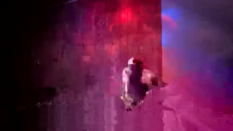 den2807 online show from April 2026 02:25:02 AM