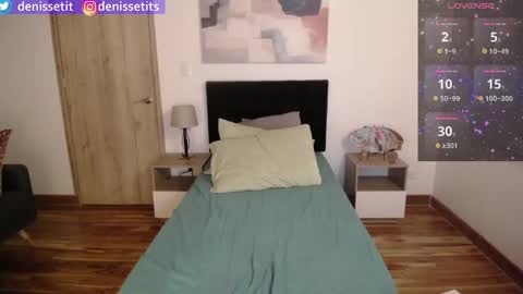 Snapshot of denissetits chatting on January 2025 11:54:01 PM online show from January 2025 11:54:01 PM