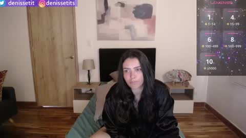 Snapshot of denissetits chatting on February 2025 08:20:02 PM online show from February 2025 08:20:02 PM