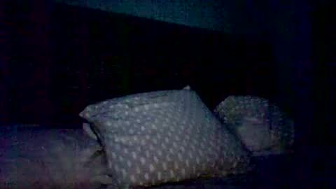 Snapshot of derokkes chatting on December 2024 11:58:01 PM derokkes online show from December 2024 11:58:01 PM