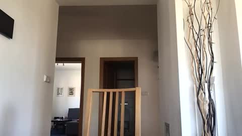 Snapshot of desirtexz chatting on April 2026 08:06:02 AM desirtexz online show from April 2026 08:06:02 AM