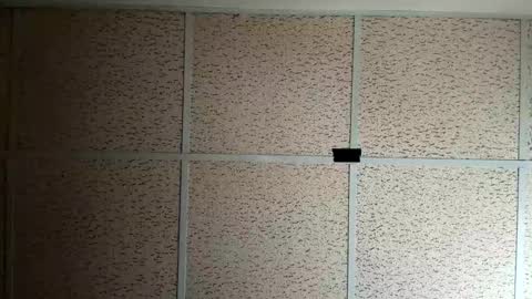 destinydiamondd online show from January 2026 09:29:01 PM