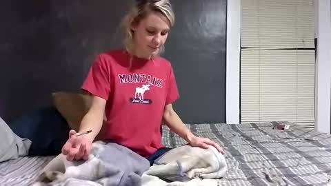 desturbingdetale699 online show from December 2024 05:51:01 AM