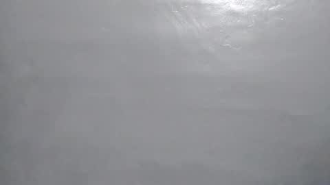 desturbingdetale699 online show from January 2025 05:26:02 AM