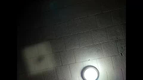 desturbingdetale699 online show from March 2025 04:41:02 AM