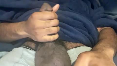 d online show from December 2025 05:36:02 AM