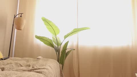 Snapshot of devil_lunna chatting on March 2026 07:25:01 AM ...Ill be back ... online show from March 2026 07:25:01 AM