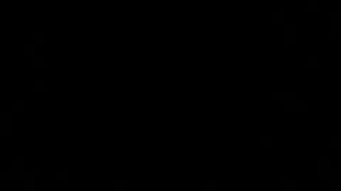 dexcarter81 online show from March 2025 12:32:02 PM