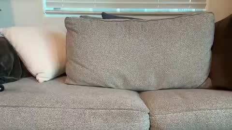 Snapshot of dgafsd chatting on December 2025 03:27:02 PM dgafsd online show from December 2025 03:27:02 PM