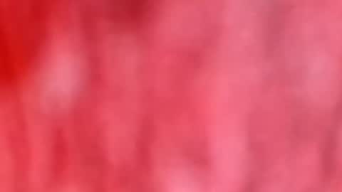 Marcus D-von Steel as the raunchy ass sniffer thrill me with your online show from January 2026 10:42:02 AM