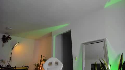 Diego online show from February 2025 08:04:01 AM