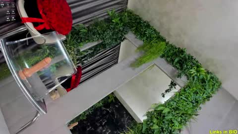 Jo online show from February 2025 03:08:02 AM