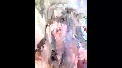 diana0108 online show from November 2025 11:57:02 AM