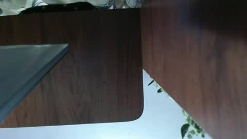 Snapshot of diana_smit_ chatting on January 2025 02:30:02 AM diana online show from January 2025 02:30:02 AM