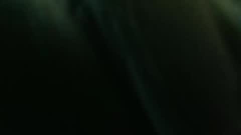 Snapshot of diana_smit_ chatting on January 2025 03:12:02 PM diana online show from January 2025 03:12:02 PM