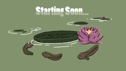 Snapshot of diana_smit_ chatting on January 2025 02:55:01 PM diana online show from January 2025 02:55:01 PM