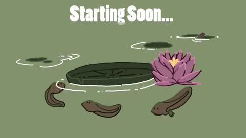 Snapshot of diana_smit_ chatting on January 2025 08:31:02 PM diana online show from January 2025 08:31:02 PM