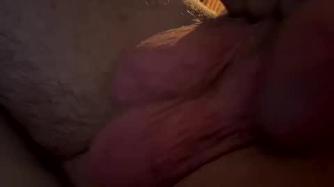 dibbs25548459 online show from October 2025 04:43:02 AM