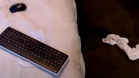 Sparkx online show from December 2025 04:31:02 AM