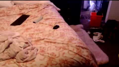 Snapshot of dickgiggler chatting on March 2026 08:36:01 AM Sparkx online show from March 2026 08:36:01 AM