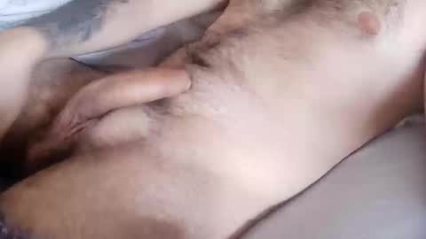 Snapshot of dicknbear chatting on April 2026 01:16:01 PM dicknbear online show from April 2026 01:16:01 PM