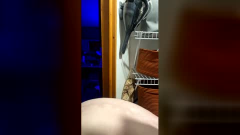 Snapshot of dicktaterish chatting on May 2026 06:43:02 AM DickTaterish online show from May 2026 06:43:02 AM