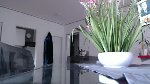 Snapshot of didiegal chatting on December 2024 02:39:01 PM squirtcock online show from December 2024 02:39:01 PM