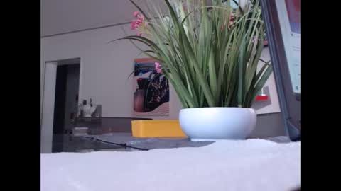 Snapshot of didiegal chatting on November 2025 10:28:02 AM squirtcock online show from November 2025 10:28:02 AM