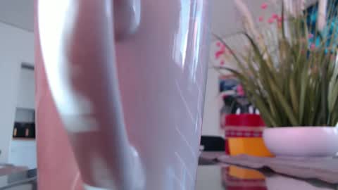 Snapshot of didiegal1 chatting on March 2026 11:49:01 AM squirtcock online show from March 2026 11:49:01 AM