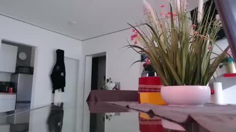 Snapshot of didiegal1 chatting on April 2026 10:57:02 AM squirtcock online show from April 2026 10:57:02 AM