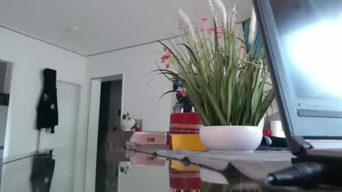 Snapshot of didiegal1 chatting on April 2026 11:59:02 AM squirtcock online show from April 2026 11:59:02 AM
