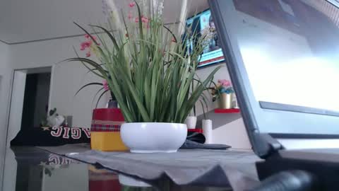 Snapshot of didiegal1 chatting on May 2026 11:15:01 AM squirtcock online show from May 2026 11:15:01 AM