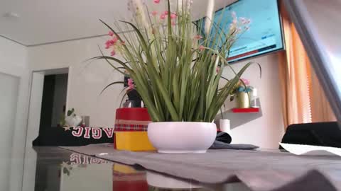 Snapshot of didiegal1 chatting on May 2026 10:53:02 AM squirtcock online show from May 2026 10:53:02 AM